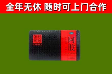 天全烟酒回收阿胶.jpg