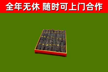 天全烟酒回收海参.jpg